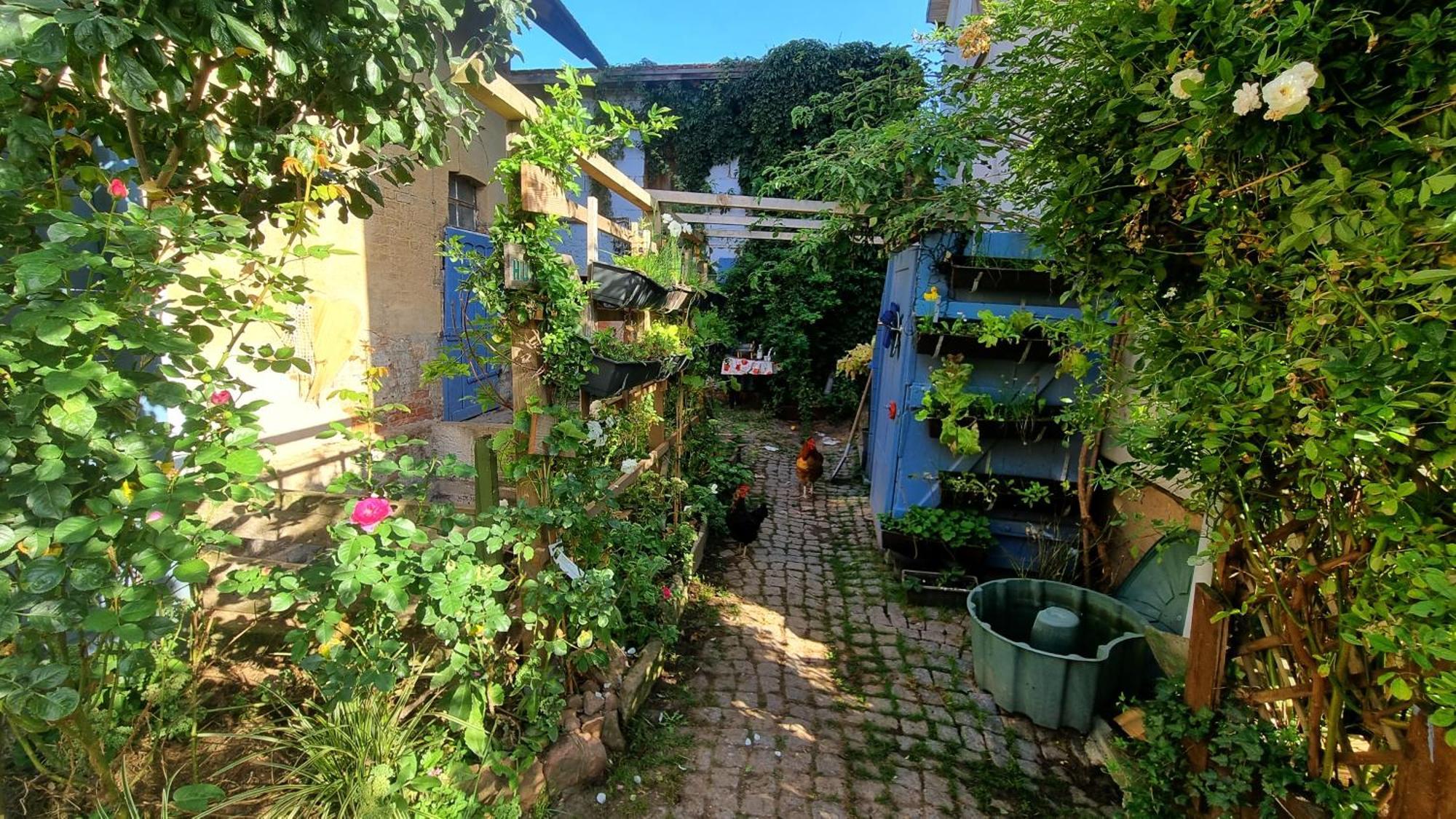 Bauernhof Privatzimmer Hortus Sandrine Gemeinschaftsbad Free Wifi Hausbreitenbach Dış mekan fotoğraf